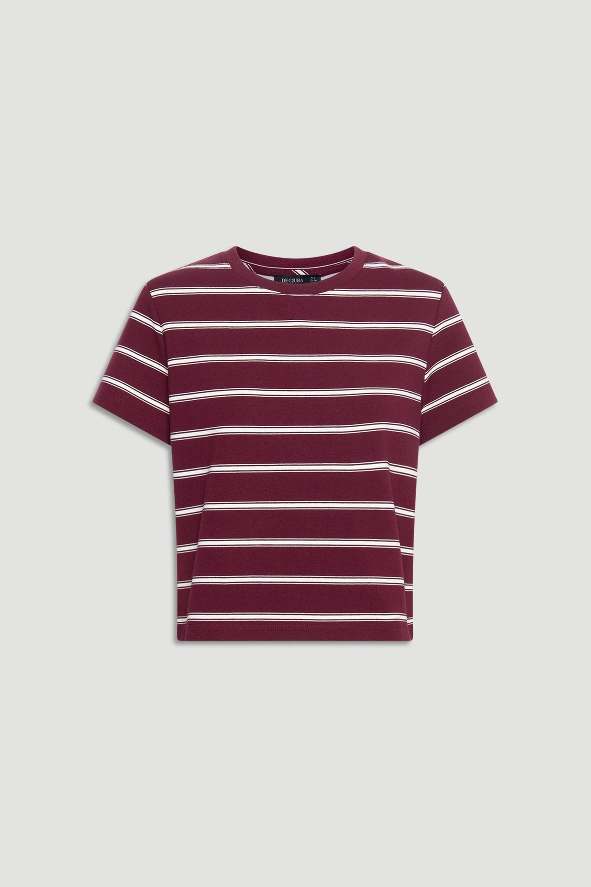 Dillon Stripe Mini Tee
